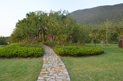 江蘇大陽山國(guó)家森林公園植物園二期景觀綠化工程二標(biāo)段 打造生態(tài)與美學(xué)的和諧畫卷