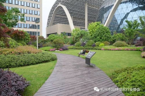 都市綠洲，云端花園——杭州國(guó)際博覽中心項(xiàng)目屋面園林綠化工程獲2016年度杭州市優(yōu)秀園林綠化工程綜合組金獎(jiǎng)紀(jì)實(shí)