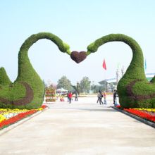 深圳市萬年春園林綠化公司 打造城市生態(tài)綠洲的專業(yè)力量